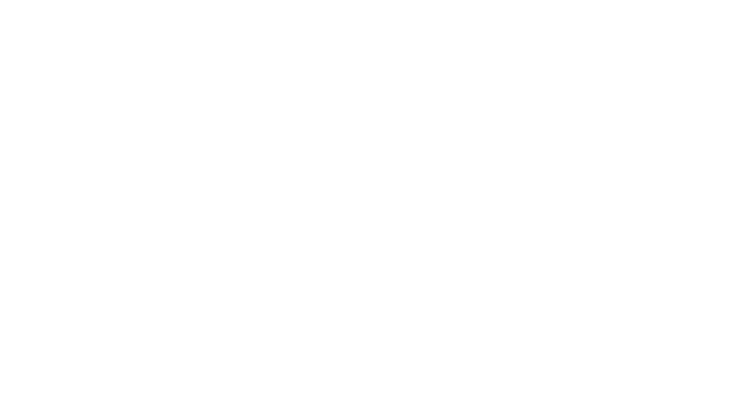 Seguridad Privada