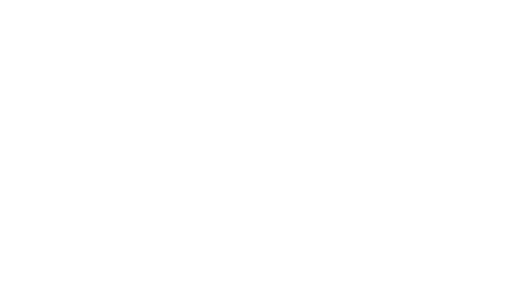 ALIANZAS SOLUGRAP