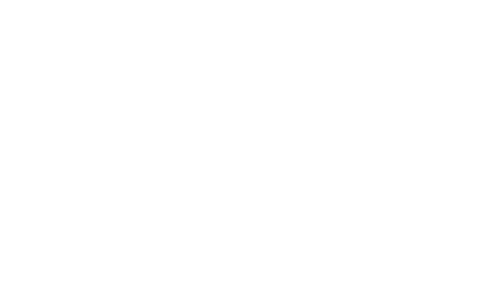 CIDESI
