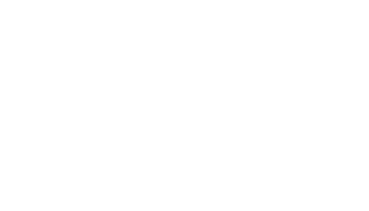 FERROLOGIC