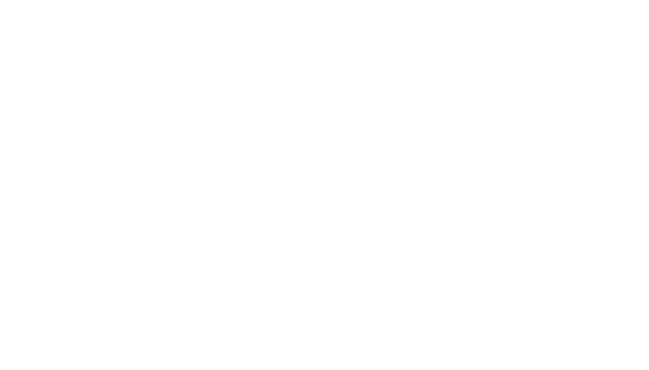 GM