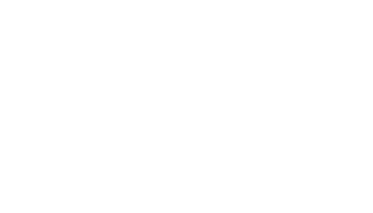INTERFONET