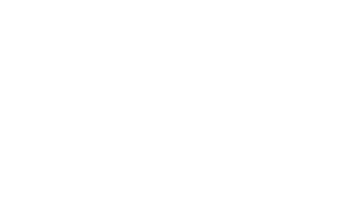 RON POTOSI