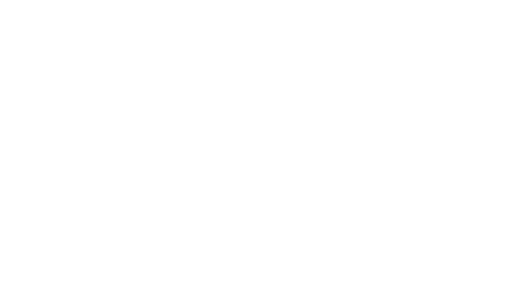 VITAPYME